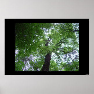 ラムジーの天蓋 ポスター