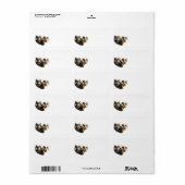 ラムズのグループ ラベル (フルシート)