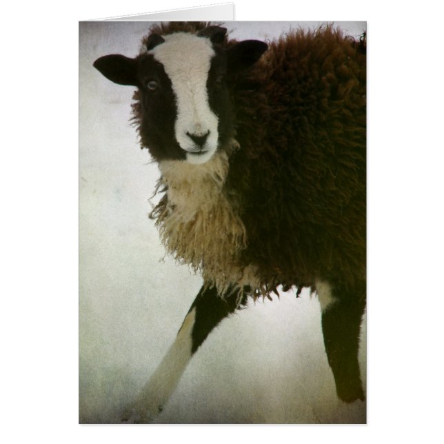 ラムチョップクリスマス (正面)