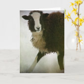 ラムチョップ カード (黄色い花)