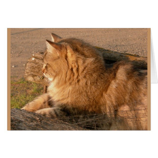 ラムトゥムギルド (正面横)