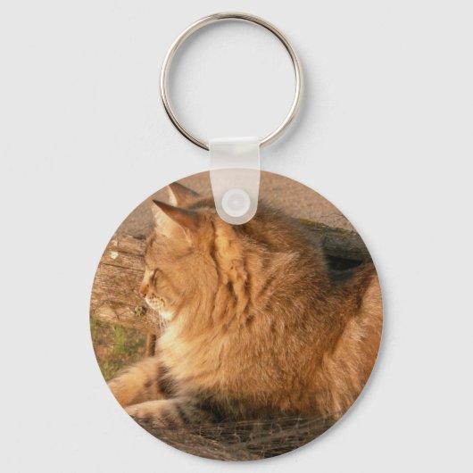 ラムトゥムギルド キーホルダー (正面)