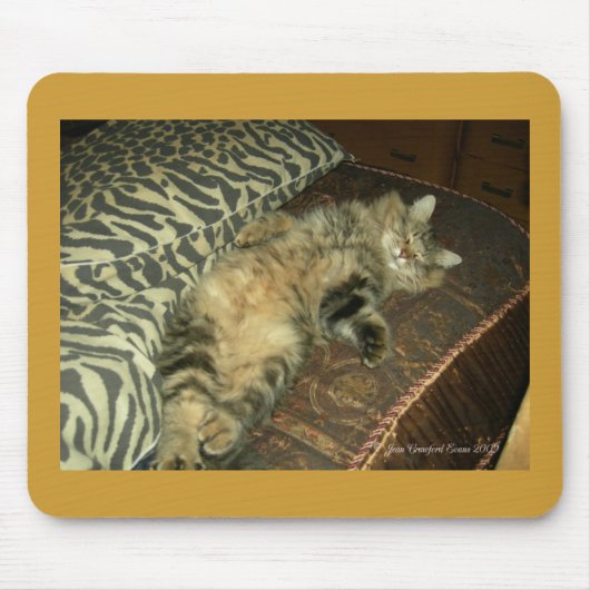 ラムトゥムミー マウスパッド (正面)