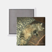 ラムトゥムミー マグネット (正面/裏面)