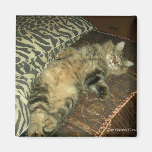 ラムトゥムミー マグネット (正面)