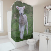 ラムベビーシープファームアニマル シャワーカーテン (インサイチュ)