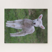 ラムベビーシープファームアニマル ジグソーパズル (横)