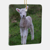 ラムベビーシープファームアニマル セラミックオーナメント (右)