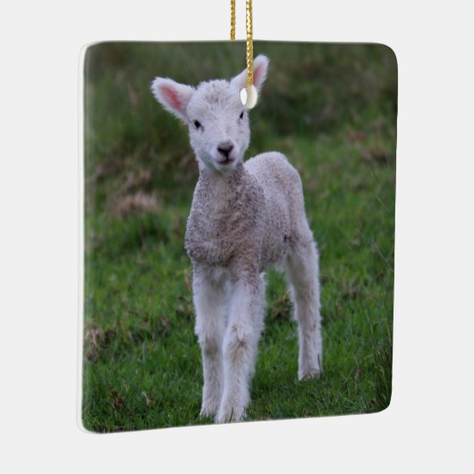 ラムベビーシープファームアニマル セラミックオーナメント (右)