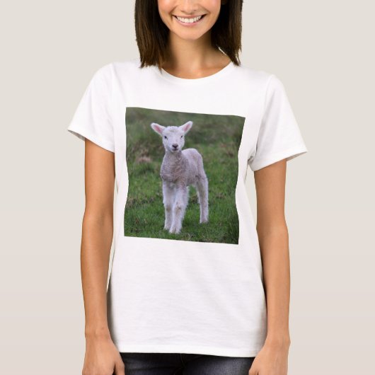 ラムベビーシープファームアニマル Tシャツ (正面)