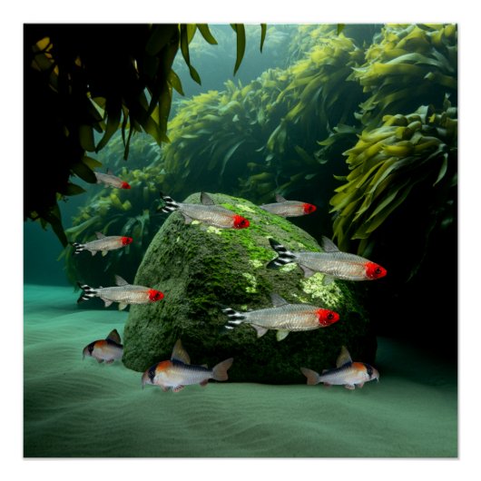 ラムミノーズテトラスコリドーラス水族館魚 ポスター (正面)