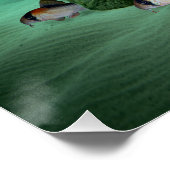 ラムミノーズテトラスコリドーラス水族館魚 ポスター (コーナー)