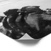 ラムリレスHMS ポスター (角)