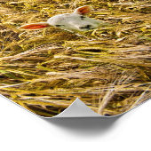 ラム失った肉 ポスター (角)