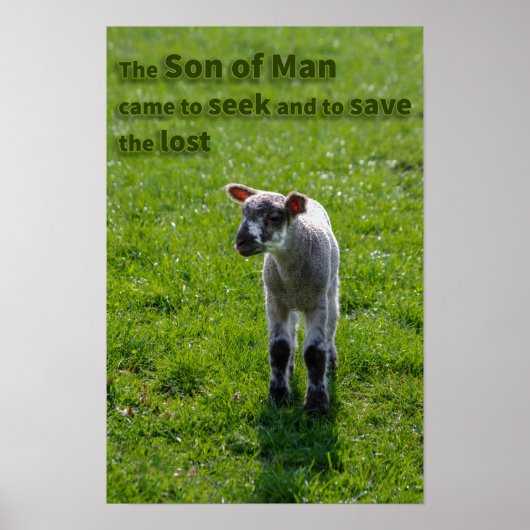 ラム失った肉 ポスター (正面)