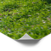 ラム失った肉 ポスター (角)