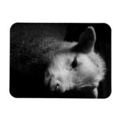 ラム生まれたばかりの肉 マグネット (横)