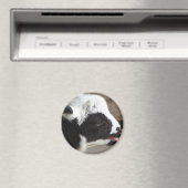 ラム生まれたばかりの肉 マグネット (インサイチュ (食洗機))