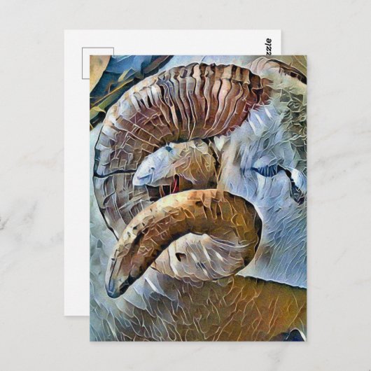 ラム羊の養殖動物 ポストカード (正面/裏面)