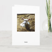 ラム羊誕生日カードパーソナライズ誕生日等 カード (裏面)