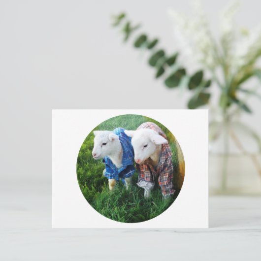 ラム葉書 ポストカード (スタンド正面)