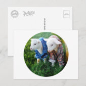 ラム葉書 ポストカード (正面/裏面)