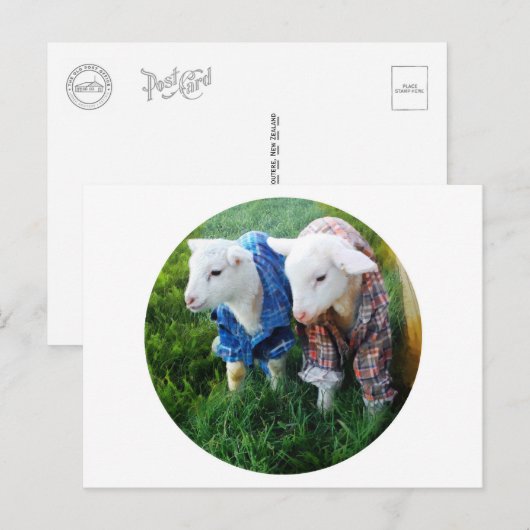 ラム葉書 ポストカード (正面/裏面)