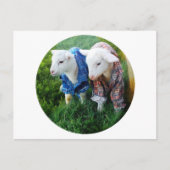 ラム葉書 ポストカード (正面)