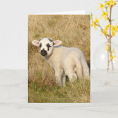 ラム誕生日カード カード (黄色い花)