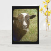 ラム誕生日カード カード (黄色い花)