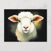 ラム顔と抽象芸術ストローク ポストカード (正面)