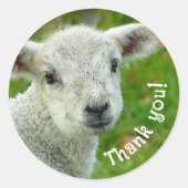 ラム顔サンキューウールビジネス ラウンドシール (正面)