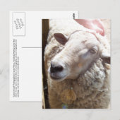 ラム・オブ・ゴッド・クリスチャン・アート・ポストカード ポストカード (正面/裏面)