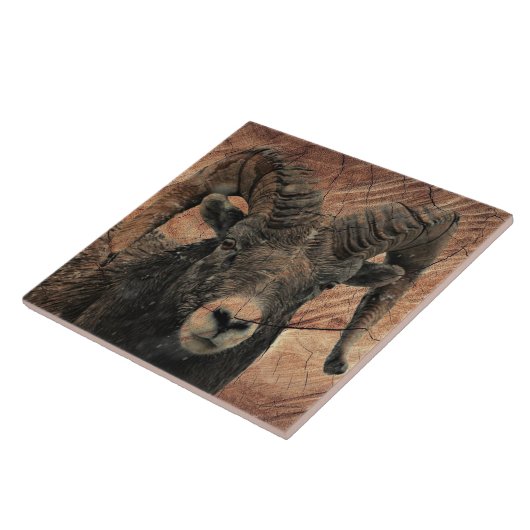 ラム タイル (側面)