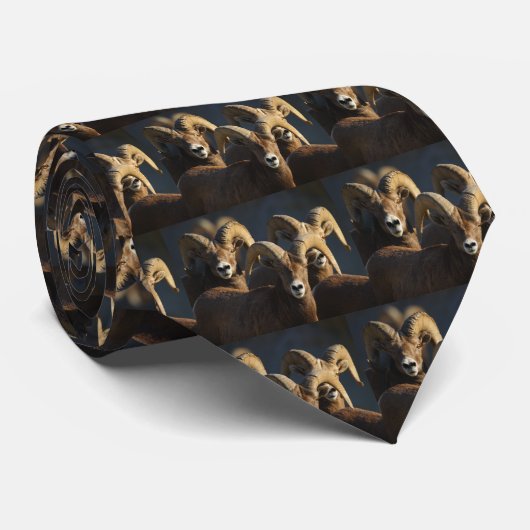 ラム ネクタイ (ロール)