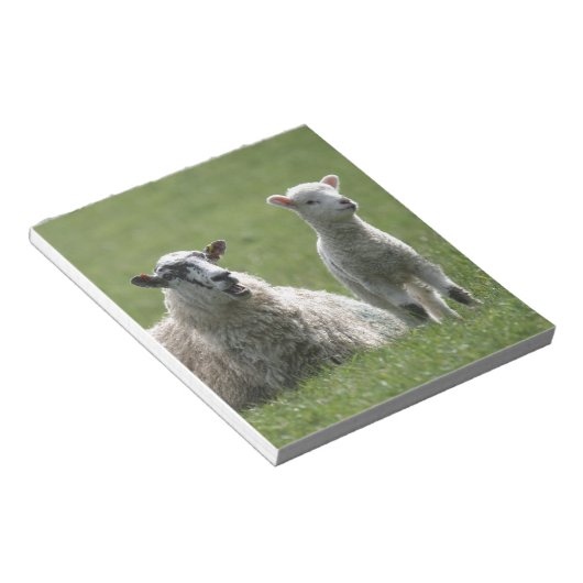 ラム ノートパッド (アングル)