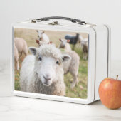 ラム メタルランチボックス (インサイチュ)