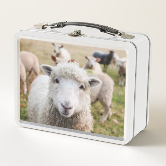 ラム メタルランチボックス (正面)