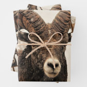 ラム ラッピングペーパーシート (インサイチュ)