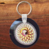 ラメイ キーホルダー (正面)