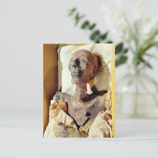 ラメセス2世のミイラ化した遺体が発見された ポストカード (スタンド正面)