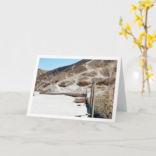 ラメセス9世の墓, キングスの谷, ルクソール, カード (黄色い花)