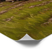 ラメレオーラグビー(ラグビースクラム) ポスター (角)