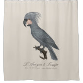 ララグリアトロンプ シャワーカーテン (正面)