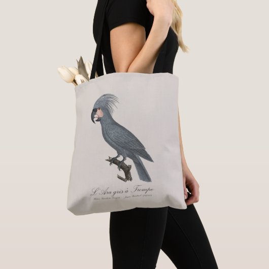 ララグリアトロンプ トートバッグ (クローズアップ)