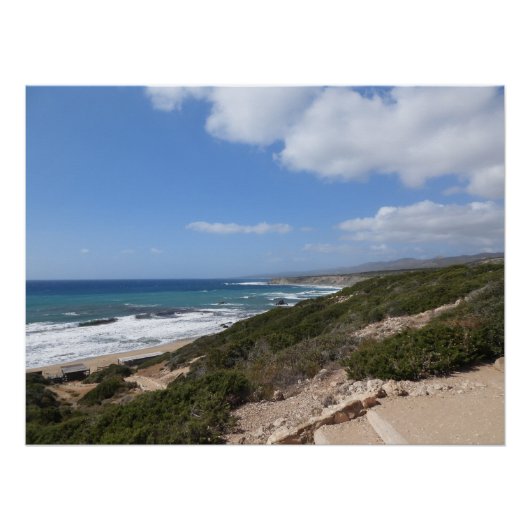 ララビーチ，パホス，キプロス ポスター (正面)