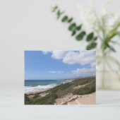 ララビーチ,パホス,キプロス ポストカード (スタンド正面)