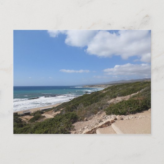 ララビーチ,パホス,キプロス ポストカード (正面)