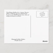 ララミーワイオミンカウボーイポストカード ポストカード (裏面)