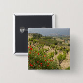 ラリオジャの首都、ラガルディア近くのブドウ園 缶バッジ (正面&裏面)